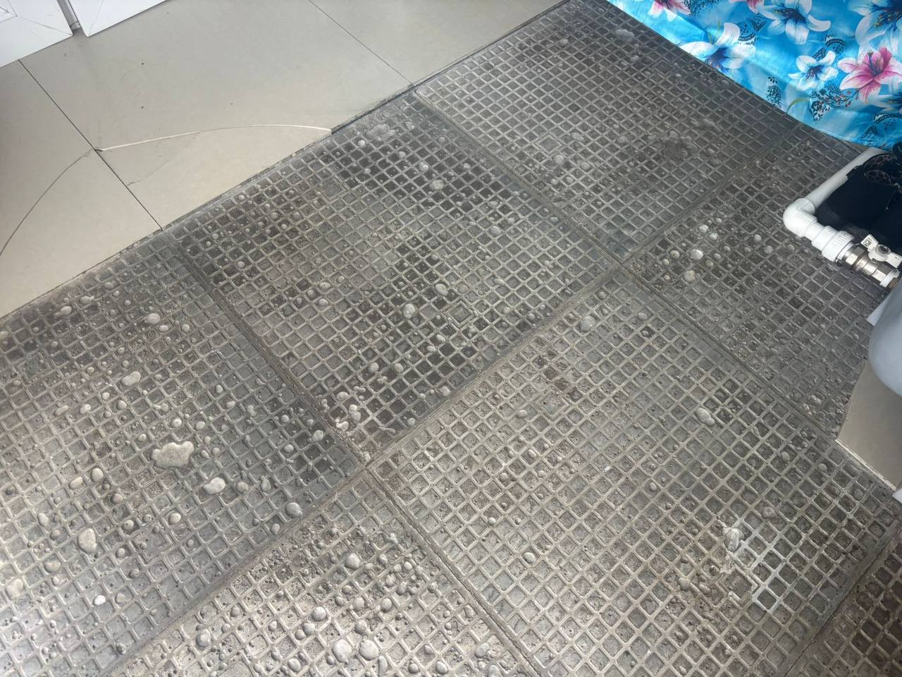 photo_5355291006972138564_y (1)_1774856015.jpg